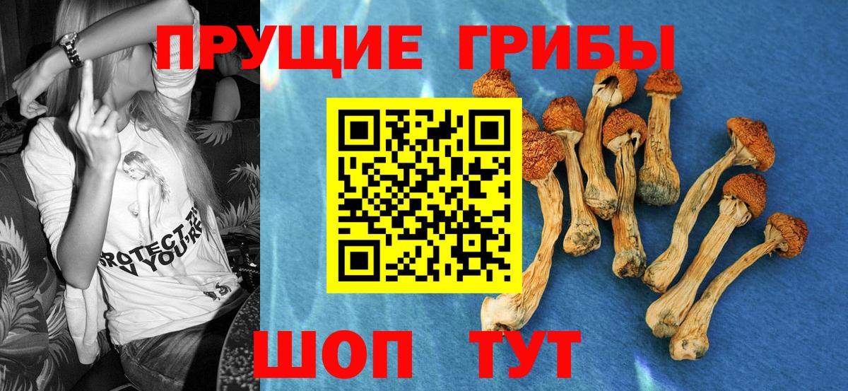 Галлюциногенные грибы Cubensis Барнаул