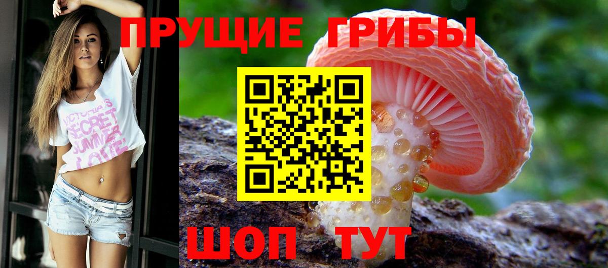Галлюциногенные грибы GOLDEN TEACHER  продажа наркотиков  Барнаул  Вход с VPN 